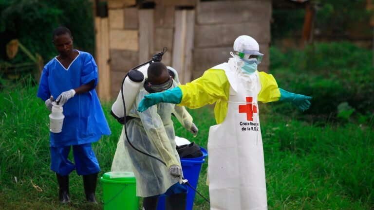 Hilfsorganisation IRC: „Kürzungen in Entwicklungshilfe leisten Ebola Vorschub“