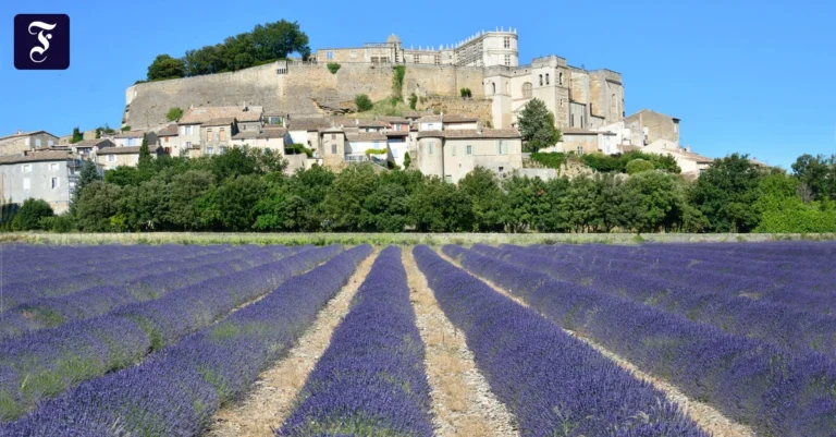 Provence: 400 Jahre Madame de Sévigné