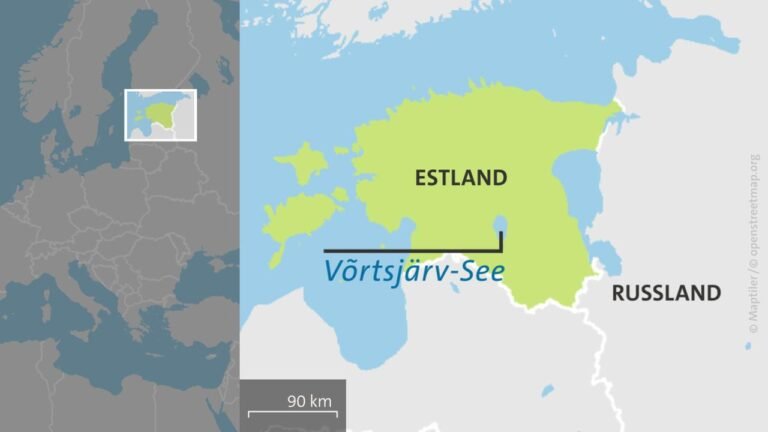 Wieder Drohnen-Vorfall im Baltikum – NATO-Jet schießt Drohne ab