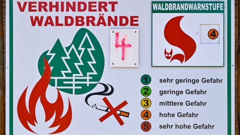 Hohe Waldbrandgefahr im Süden Brandenburgs