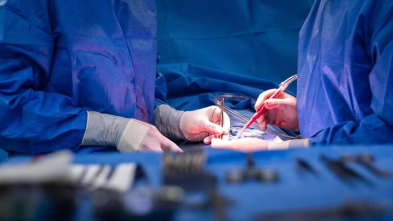 Deutsche Gesellschaft für Gewebetransplantation – Zahl der Gewebespenden 2025 gestiegen