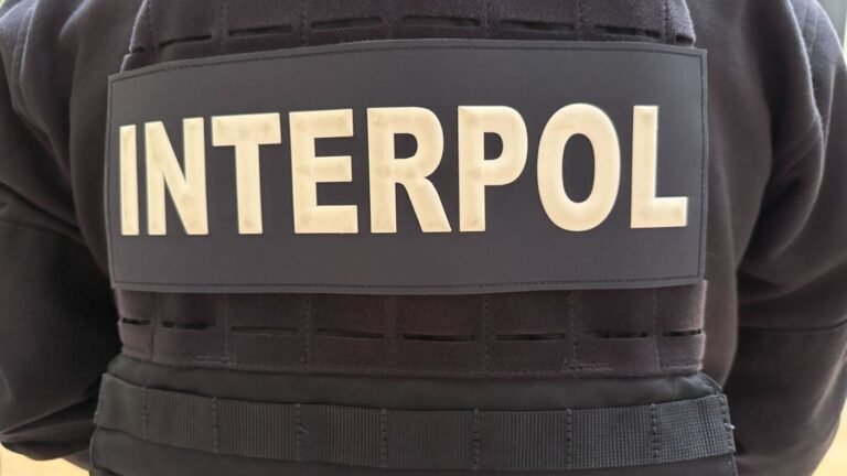 Gesundheit und Kriminalität: Interpol-Schlag: Millionen falsche Medikamente beschlagnahmt