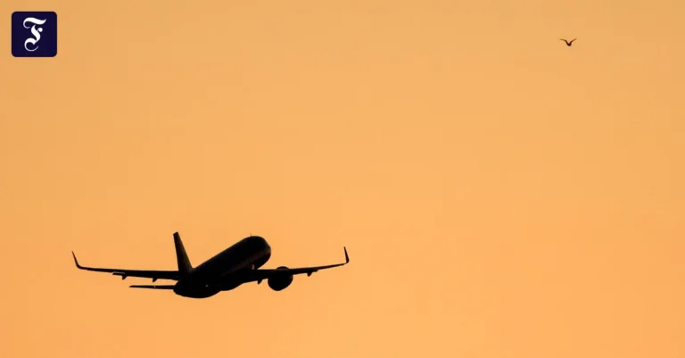 Werden Flugtickets im Sommer günstiger? | FAZ Frühdenker