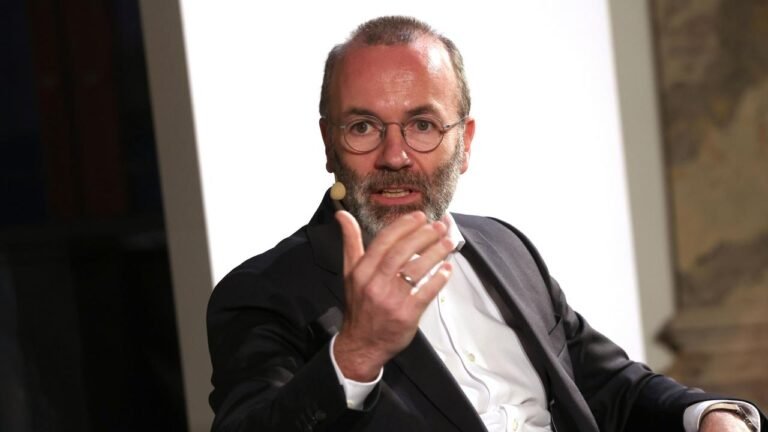 CSU-Vizechef Weber fordert erneut Reformdebatte in seiner Partei