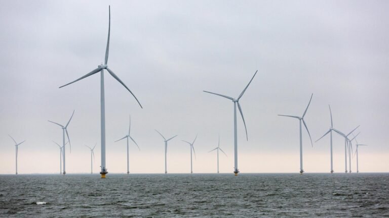 Rückschlag für die Energiewende – Total Energies will aus deutschen Windkraft-Projekten aussteigen