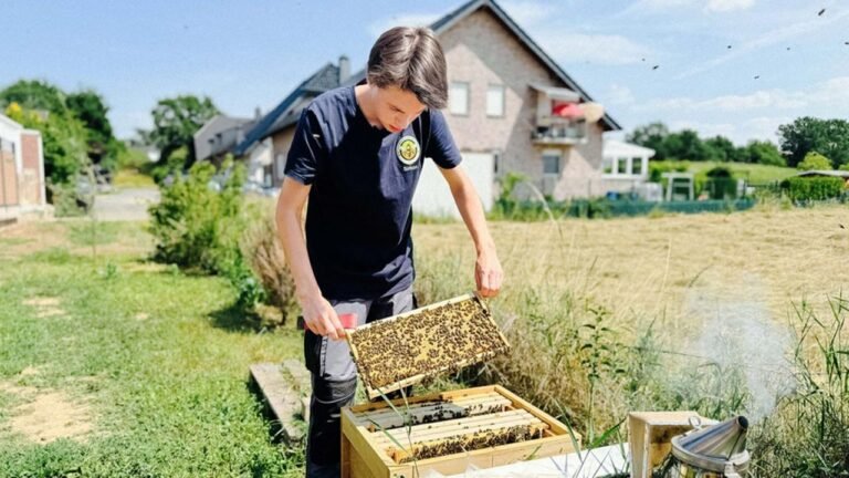 Honig aus Deutschland: Was junge Menschen für die Imkerei begeistert