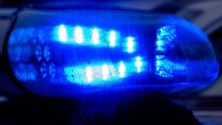 Frau bei Suche nach Hund von Selbstschussanlage verletzt