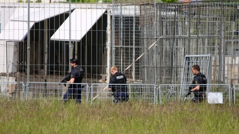 Peta fordert nach Tiger-Ausbruch Konsequenzen