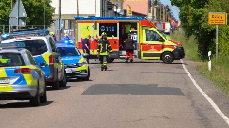 Tiger-Ausbruch in Sachsen: Tierschützer fordern Haltungsverbot