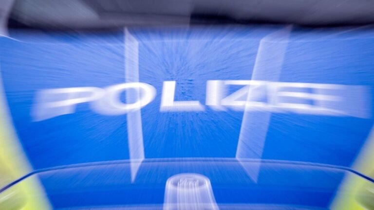 Autofahrer flüchtet und verletzt Polizisten