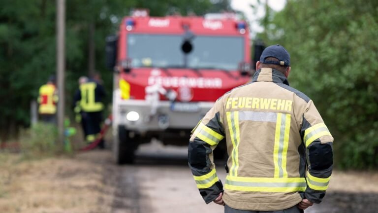 Feuer auf altem Truppenübungsplatz in Brandenburg ausgebrochen
