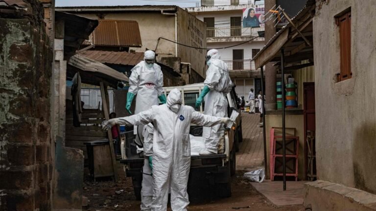 Deutscher Arzt beklagt zögerliche Ebola-Forschung
