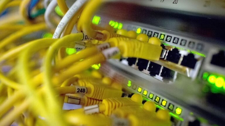 Als erstes Bundesland: Sachsen-Anhalt will Kryptowertpapier herausbringen