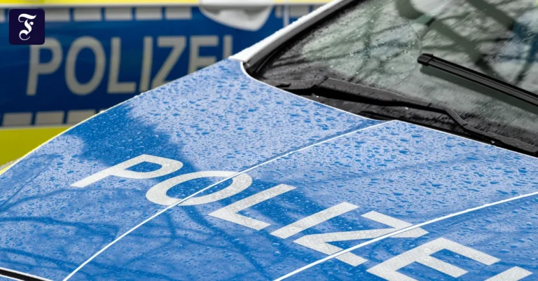 Frankfurt: 62-Jährige raubt Hund samt Papieren vor Supermarkt