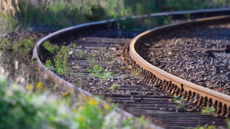 Allianz pro Schiene – Fortschritte bei der Reaktivierung stillgelegter Bahnstrecken