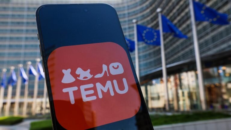 EU verhängt Millionen-Strafe gegen Online-Händler Temu