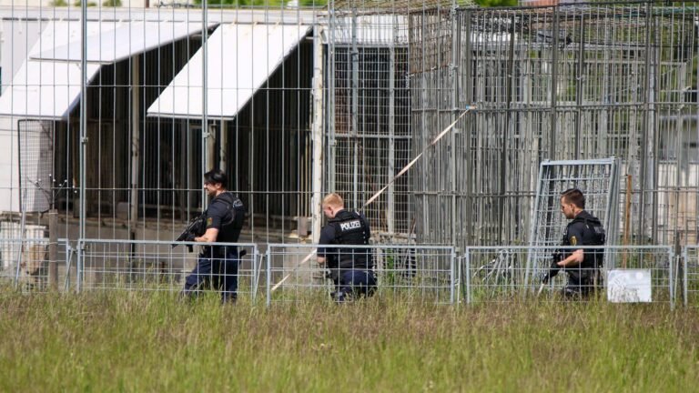 Peta fordert nach Tiger-Ausbruch in Leipzig Konsequenzen
