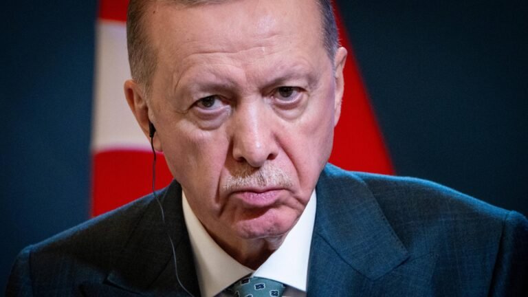 Nach Protesten – Erdogan macht Dekret zur Schließung von Istanbuler Universität rückgängig
