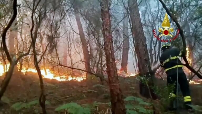 Tausende Menschen evakuiert – Großflächiger Waldbrand in der Toskana