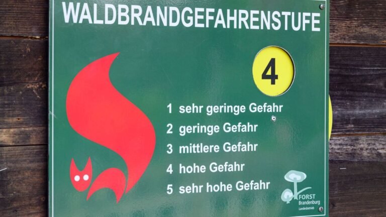 Hohe Temperaturen: Mit dem Sommer kommt die Gefahr: Waldbrandrisiko steigt