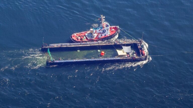 Schlepper kommt nach Wal-Transport in Cuxhaven an