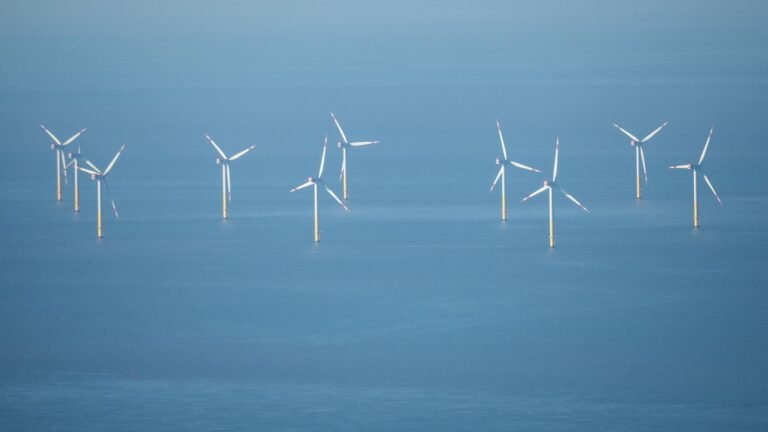 Windkraft auf See – Bundesumweltminister Schneider dringt auf Vertragstreue von Unternehmen