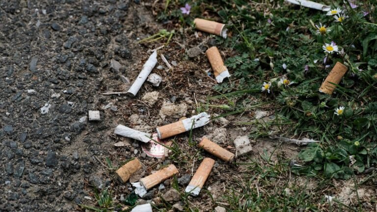 Weltnichtrauchertag – Drogenbeauftragter fordert deutliche Erhöhung der Tabaksteuer