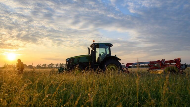 Landwirtschaft: Sachsen-Anhalt will Bauern bei Finanzproblemen helfen