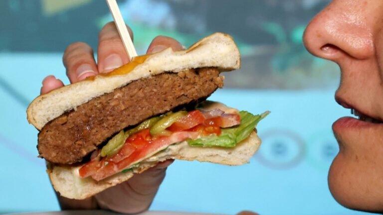 Vegetarische Lebensmittel: Markt für Alternativprodukte 2025 weiter gewachsen