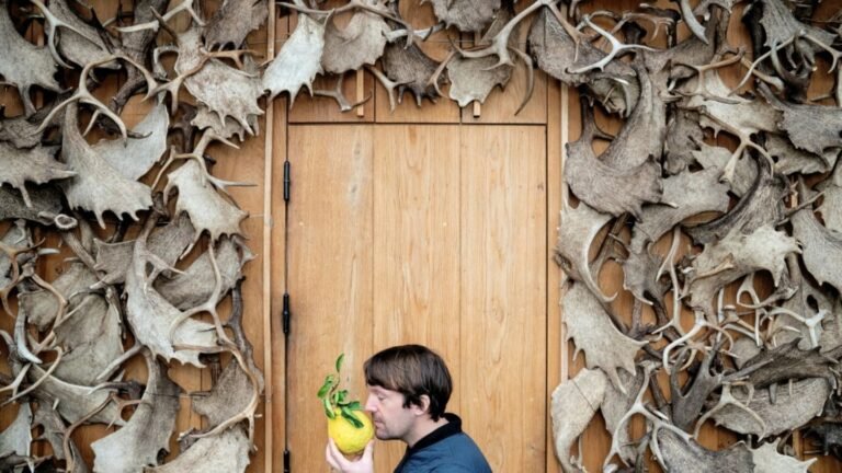 Weltberühmtes Restaurant „Noma“ will im August wieder in Kopenhagen öffnen