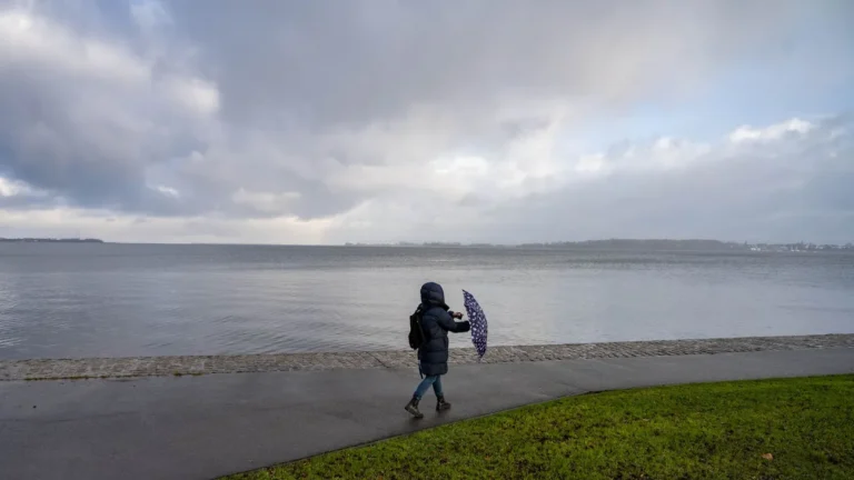 Wetter: Sturmböen und Regen am Wochenende in Mecklenburg-Vorpommern