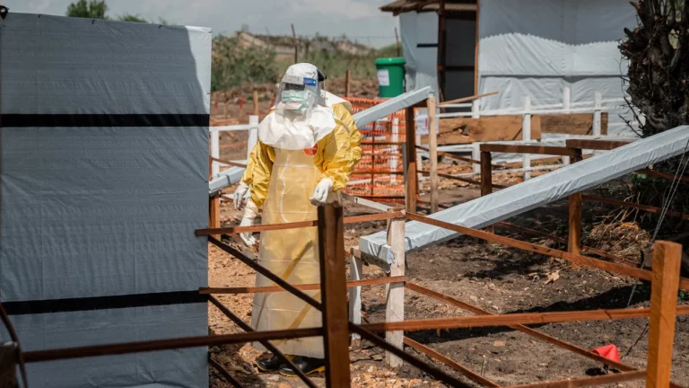 Ebola-Ausbruch in Westafrika: Zehntausende Kontakte von Ebola-Infizierten noch nicht identifiziert