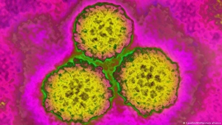 Neue WHO-Studie zeigt Risiken für Krebs