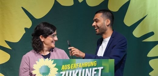 Hamburg: Frühere Parteispitze der Grünen zahlt Sozialabgaben nach