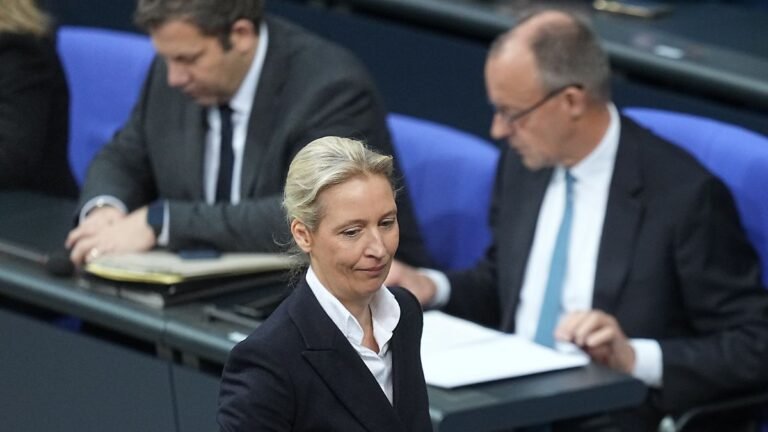 FDP und BSW unter Hürde: Umfrage sieht AfD bundesweit an den 30 Prozent kratzen