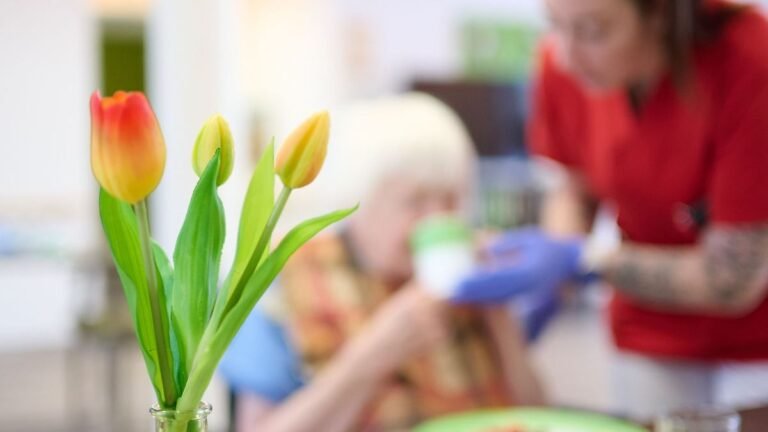 „Wird in Familien verschoben“: Pflegerat sieht Warkens Pläne als Kurzfrist-Sparprogramm