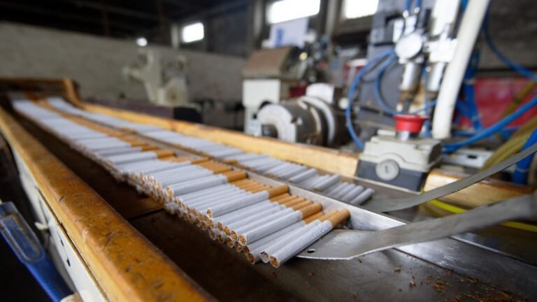 Studie zeigt Profi-Betriebe: Kriminelle ziehen illegale Zigarettenproduktion zunehmend in Deutschland auf