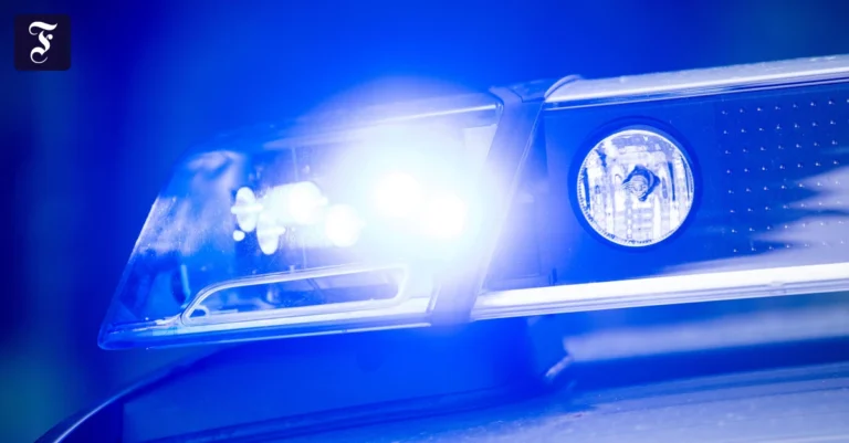 Skorpion-Schmuggel: Mann mit 150 Tieren in Kapstadt erwischt