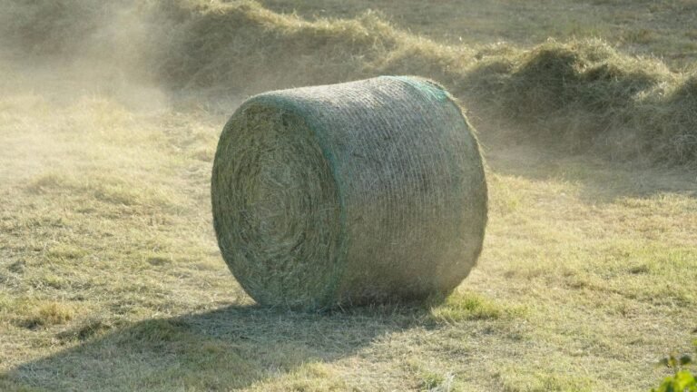 Landwirtschafts-ETF: Wie gut ist der iShares Agribusiness-ETF?