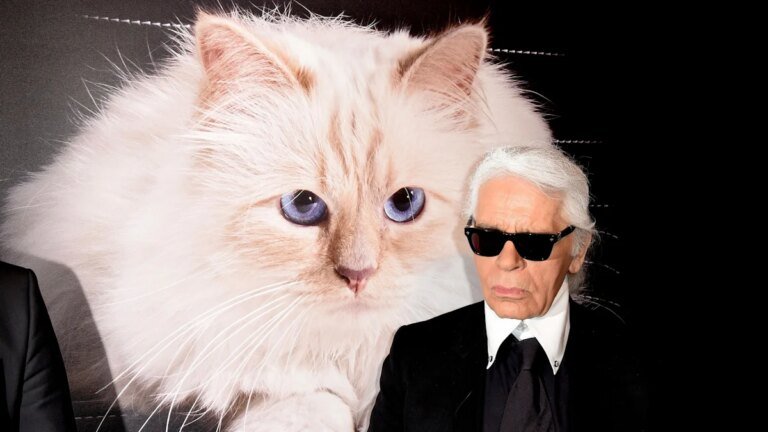 Der Mythos von der reichsten Katze der Welt – Gesellschaft