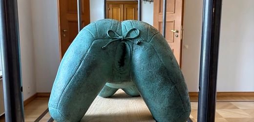 Frank-Walter Steinmeier holt sich eine Sexpuppe ins Schloss Bellevue. Muss das sein?
