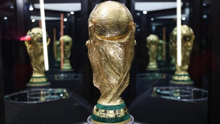 Das Geschäft mit der Fußball-WM: Wer gewinnt, wer verliert