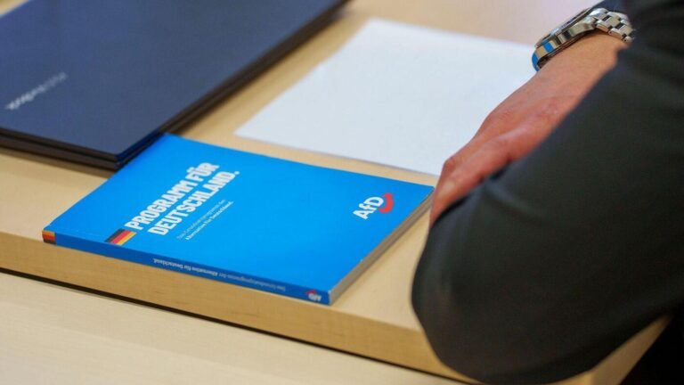 Verfassungsschutz darf hessische AfD beobachten