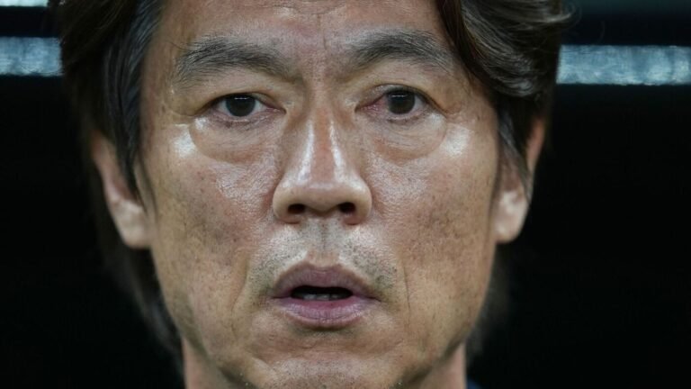 Drohne bei Südkorea rechtzeitig entdeckt