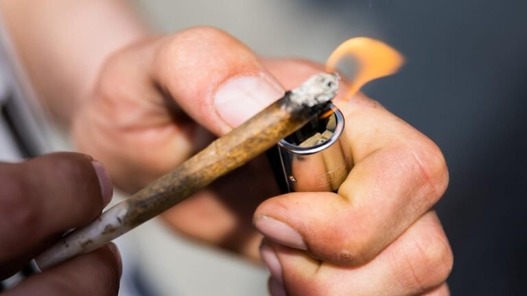 EU-Drogenbericht: Cannabis bleibt am häufigsten konsumierte Droge