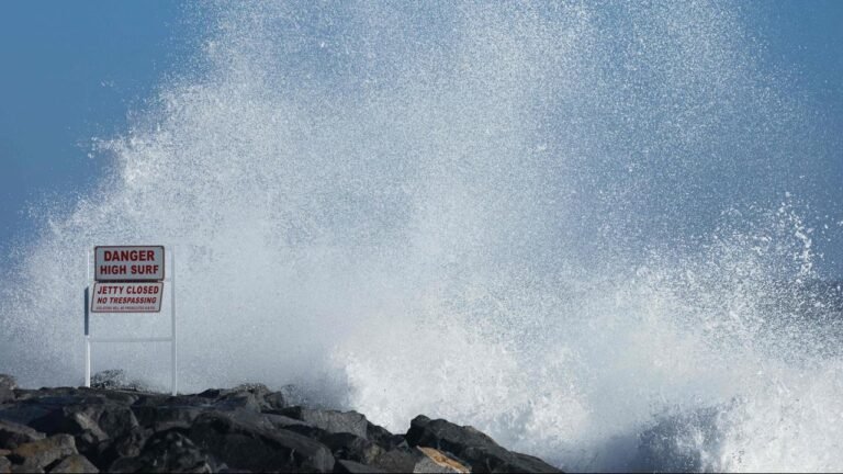 Möglicher „Super El Niño“ in den USA: Extremwetter und mehr Haie