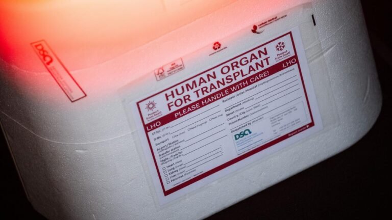 Organspende: Bundestagsgruppen werben für Reformen