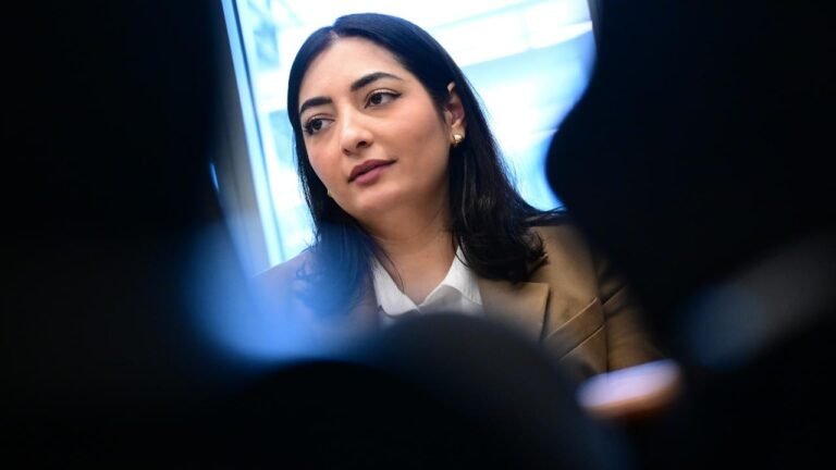 Alabali Radovan bricht Libanon-Reise ab