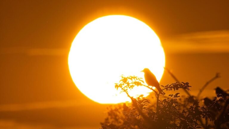 Ist der Sommer gelaufen?: Mitnichten