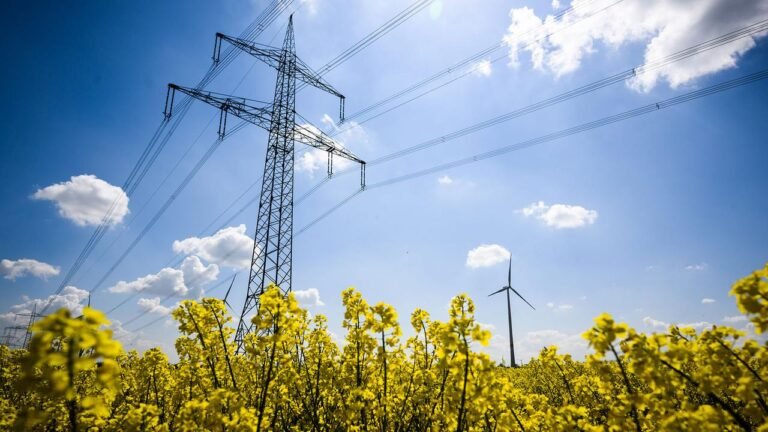 Analyse der Stromnetzbetreiber – Rekordrenditen und massive Kritik